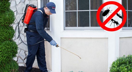 Alaybey Gümüşkurt İlaçlama böcek ilaçlama ve haşere kontrolü — ilaclama-tr.com